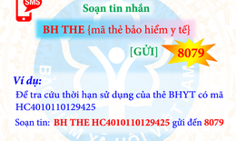 Người dân có thể tra cứu quá trình đóng, hưởng BHXH, BHYT qua dịch vụ tin nhắn