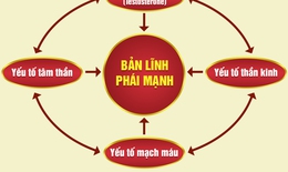 KDnew- Đột phá toàn diện cho bản lĩnh phái mạnh