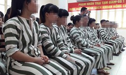 Người bị kết án tù được tham gia BHXH tự nguyện từ ngày 01/01/2020