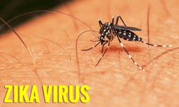 Ca bệnh Zika đầu tiên năm 2020 và 3 trường hợp tử vong vì sốt xuất huyết: Bộ Y tế yêu cầu tăng cường phòng chống các dịch bệnh này