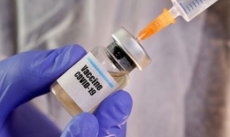 Đã tiêm xong mũi 1 giai đoạn 2 vắc xin phòng COVID-19 Nano Covax cho 560 tình nguyện viên