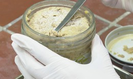 Vụ ngộ độc botulinum ở Bình Dương: Lấy 16 mẫu chả và pate chay để kiểm nghiệm