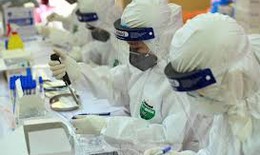 Bộ Y tế: 37 mẫu COVID-19 tại Đà Nẵng, Điện Biên và Hải Phòng mang biến chủng Anh và Ấn Độ