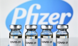 Ngày 12/6, Bộ Y tế phê duyệt có điều kiện vắc xin phòng COVID-19 của hãng Pfizer