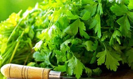 Thảo dược khắc phục tóc khô và hư tổn