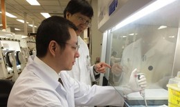 Nóng: Các nhà khoa học đã tìm ra phương pháp điều trị MERS