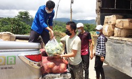 Đồng bào các dân tộc ở huyện nghèo Đam Rông tặng người dân TP. Hồ Chí Minh 20 tấn nông sản