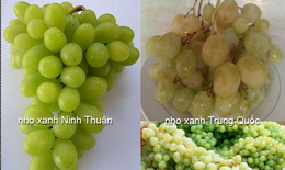 Mẹo nhận biết hoa quả Trung Quốc