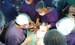 Những điều đặc biệt của ca ghép đa tạng đầu tiên từ người cho chết não tại BV Quân Y 103