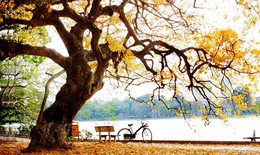 Mùa thu, những bệnh nào hay "ghé thăm" bạn?
