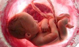 Sự thật rùng mình về thuốc trường sinh kinh dị