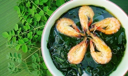 Những lợi ích bất ngờ từ cây chùm ngây