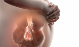 6 điểm khác biệt của mang thai đôi các mẹ cần biết
