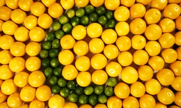Vitamin C có thể tiêu diệt tế bào gốc ung thư
