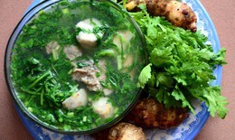 Chữa ho, giải cảm từ cải cúc