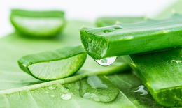 8 mẹo vặt giúp bạn khắc phục các vấn đề trong nắng nóng mùa hè