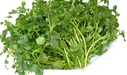Thực phẩm giàu i-ốt