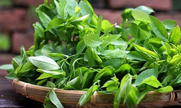 Để có xương chắc khỏe, ngoài magie và canxi còn cần vitamin K2?