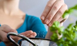 Chế biến thức ăn dặm cho bé có cần nêm muối?