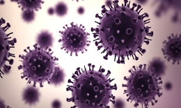 TP.HCM ghi nhận trường hợp tử vong dương tính với H1N1