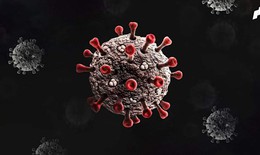Biến thể - biến chủng virus là gì?