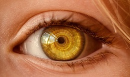 Ph&#225;t triển thuốc nhỏ mắt c&#243; thể ngăn ngừa mất thị lực