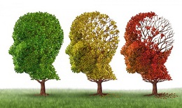 Yếu tố nguy cơ làm tăng mắc bệnh Alzheimer