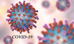 COVID-19 c&#243; thể dẫn đến gia tăng c&#225;c ca tử vong do bệnh truyền nhiễm