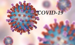 Người trẻ tuổi hút thuốc tăng nguy cơ mắc COVID-19 và biến chứng của bệnh