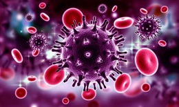 Tiết lộ bí mật của những người có khả năng kháng ngự HIV tự nhiên