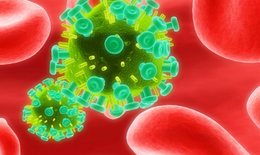 Cập nhật các khuyến nghị điều trị, phòng ngừa HIV