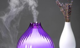Chuyên gia Dược học: Tinh dầu không hoàn toàn vô hại như bạn nghĩ