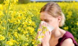 Chuyên gia chỉ cách ứng phó với dị ứng phấn hoa