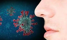 Mất khứu giác phục hồi ở hầu hết những người sống sót sau COVID-19
