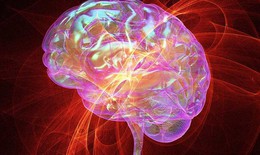 7 cách rèn luyện ngăn ngừa bệnh trí não khi về già