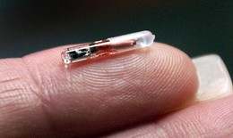 Cấy chip an ninh siêu nhỏ lên người- Xu hướng mới có an toàn?