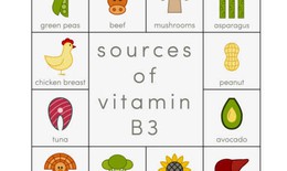 Những sự thật về vitamin B3
