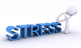 Stress kéo dài làm tăng nguy cơ tử vong ở bệnh nhân tim