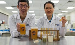 Nghiên cứu loại bia probiotic mới làm tăng khả năng miễn dịch