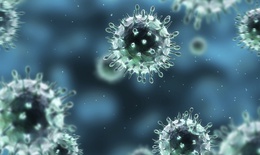 Bệnh viện Chợ Rẫy phát hiện 12 ca mắc cúm A/H1N1