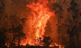 Australia vẫn vật lộn với cháy rừng