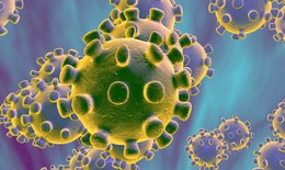 Viện Pasteur Paris - Pháp tuyên bố nuôi cấy thành công các chủng virus corona mới