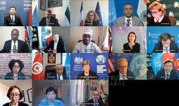 Việt Nam chủ trì cuộc họp của HĐBA về vấn đề vũ khí hoá học tại Syria