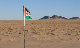 Việt Nam kêu gọi các bên tại Tây Sahara sớm quay lại đàm phán với vai trò trung gian của LHQ
