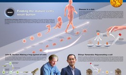 4 người Nhật giành giải Nobel ở lĩnh vực y học