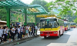 H&#224; Nội: Mở 4 tuyến xe bu&#253;t trợ gi&#225; sử dụng nhi&#234;n liệu sạch