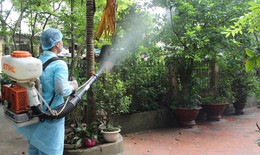 Tăng cường phòng, chống dịch sốt xuất huyết, sởi và bệnh dịch tả lợn châu Phi