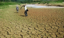 Thủ tướng chỉ đạo tập trung ứng phó hạn hán tại Trung Bộ