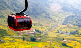 Thông báo khẩn tìm người đến 13 địa điểm ở Sa Pa - Lào Cai
