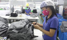 Bình Dương triển khai thí điểm phần mềm hỗ trợ truy vết COVID - 19 trong doanh nghiệp